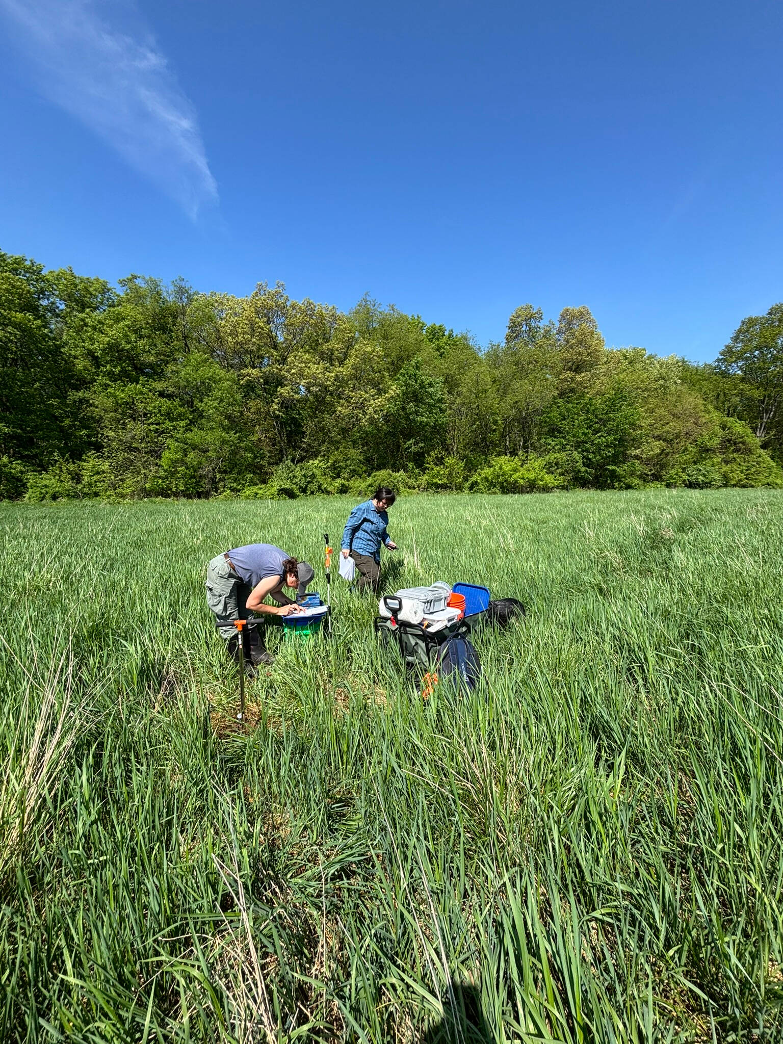 3 people in a grassy field